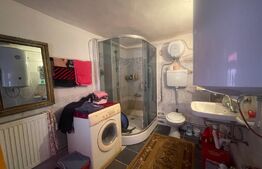 Casa 140 mp utili, 1600 mp teren, Afumati Dolj