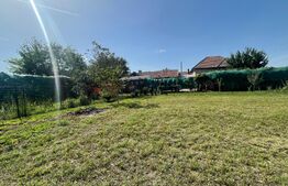 Casa 140 mp utili, 1600 mp teren, Afumati Dolj