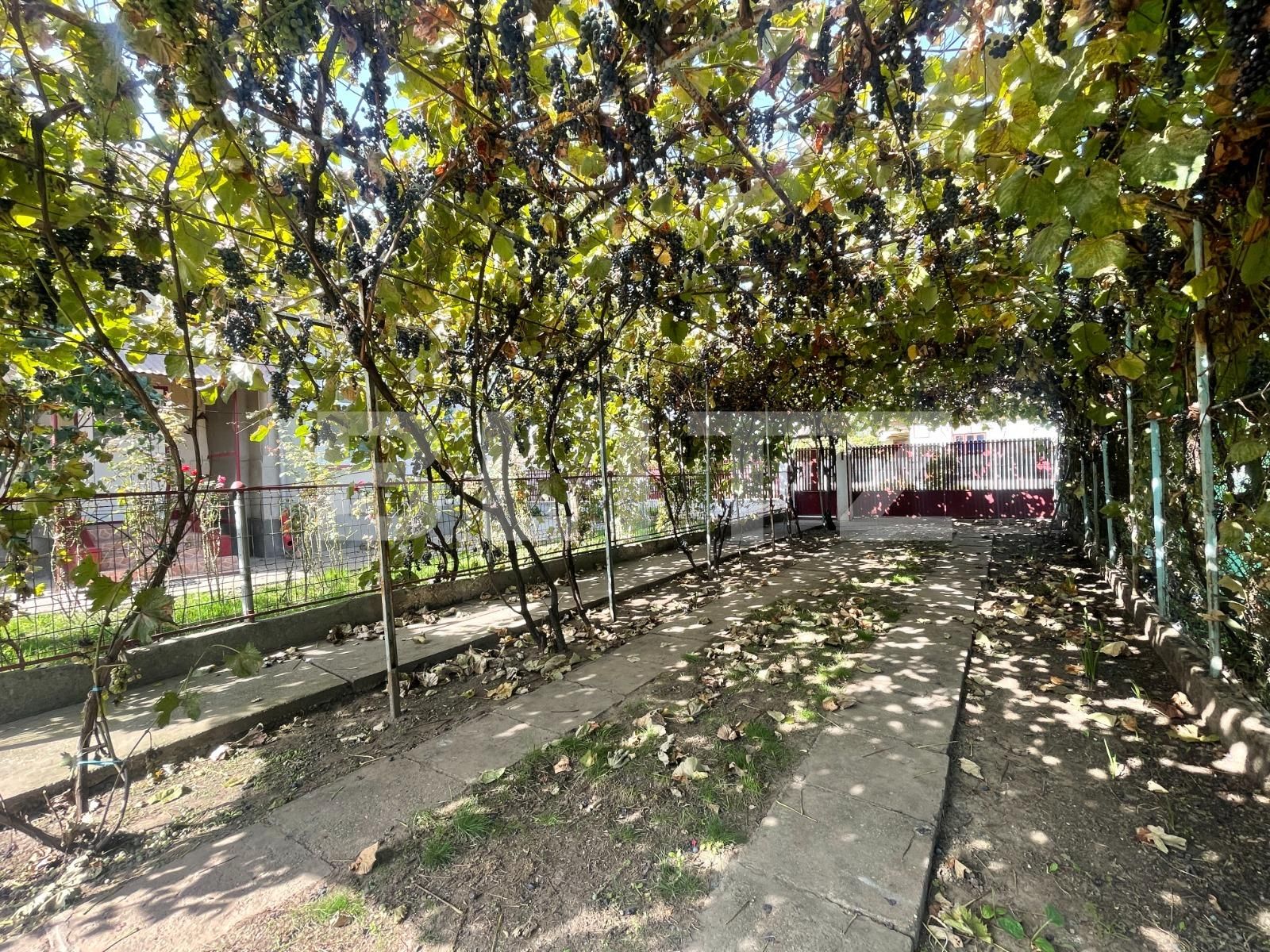 Casa de vânzare 4 camere Sud-Vest - 98210CV | BLITZ Craiova | Poza2