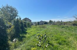 Teren 1600mp, Zona Catargiu