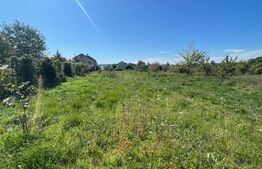 Teren 1600mp, Zona Catargiu