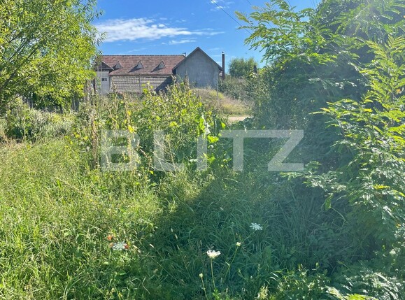 Teren de vânzare Lascar Catargiu - 98326TV | BLITZ Craiova | Poza4