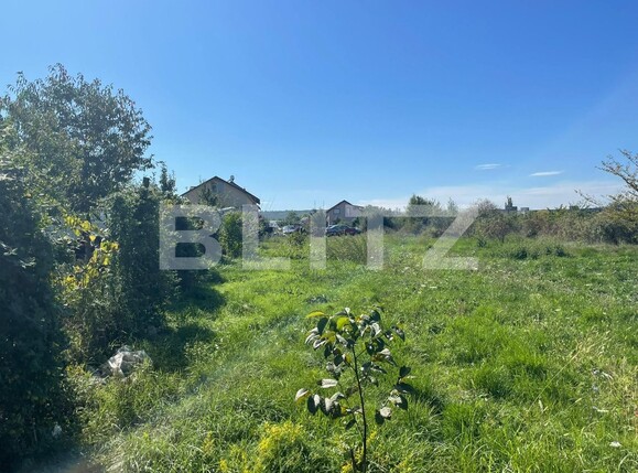 Teren de vânzare Lascar Catargiu - 98326TV | BLITZ Craiova | Poza3