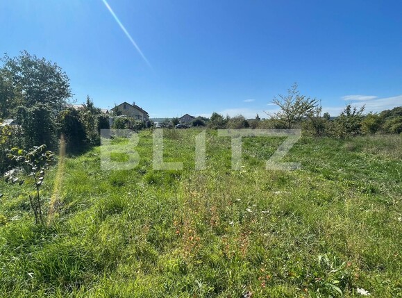 Teren de vânzare Lascar Catargiu - 98326TV | BLITZ Craiova | Poza2