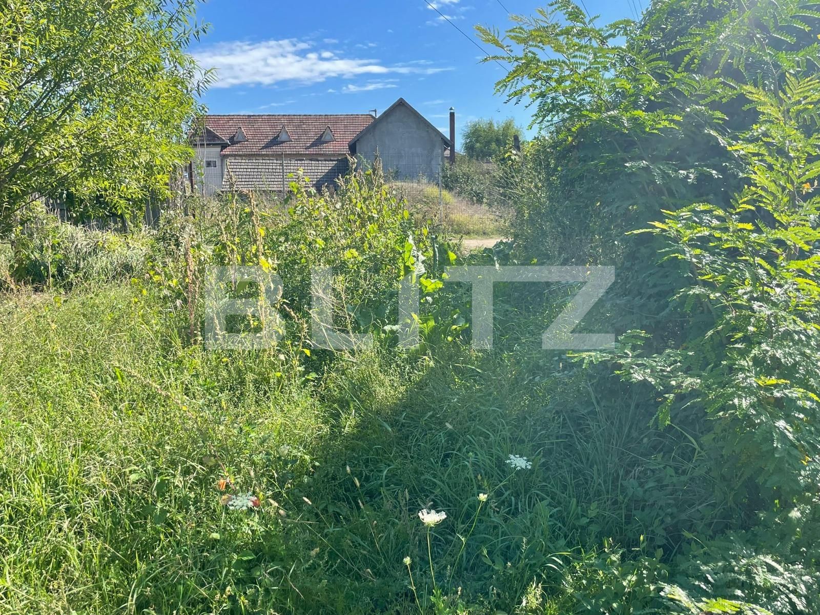 Teren de vânzare Lascar Catargiu - 98326TV | BLITZ Craiova | Poza4