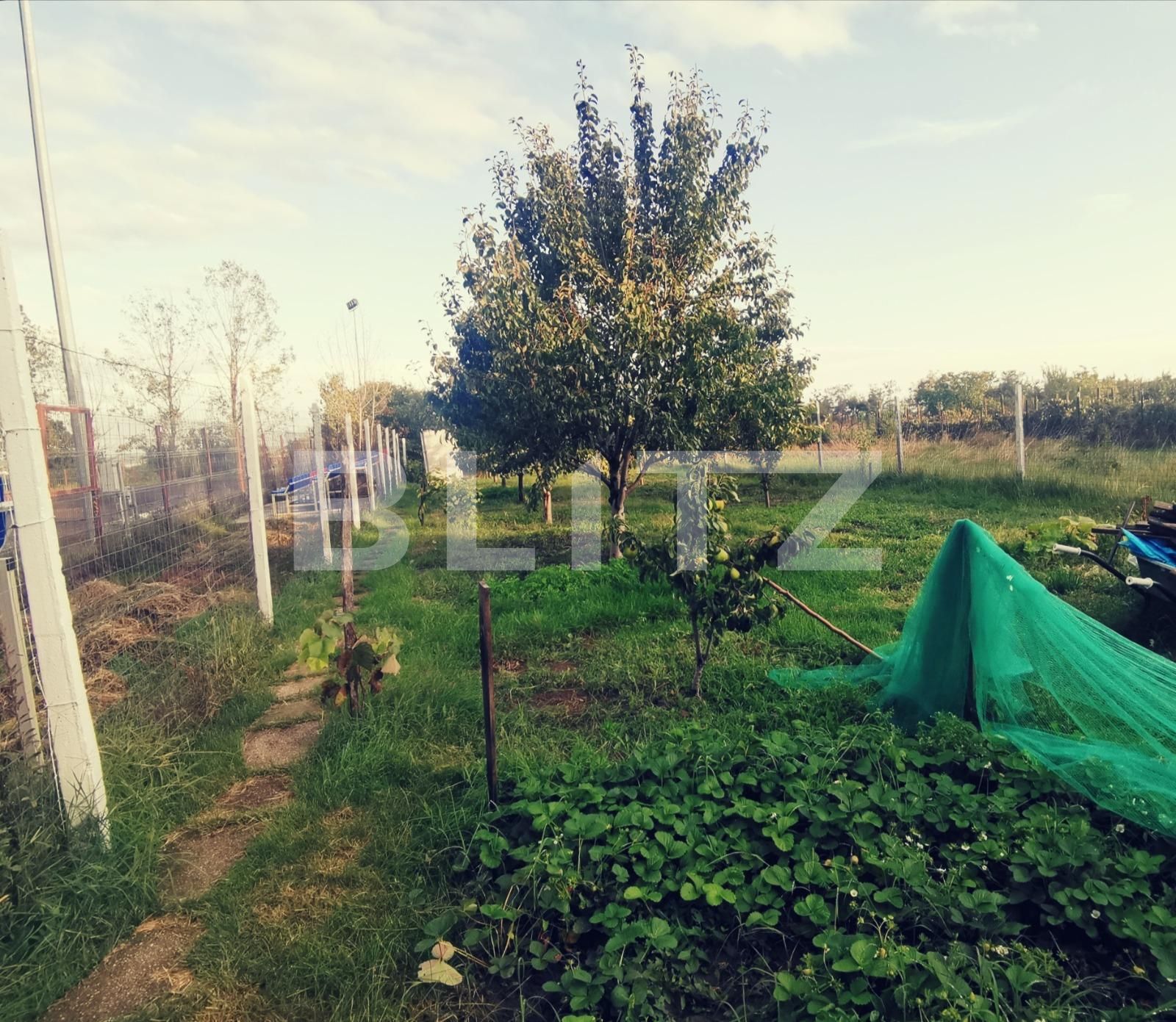 Casa de vânzare 4 camere Ghercesti - 98384CV | BLITZ Craiova | Poza12