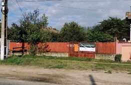 Teren intravilan 1012 mp, Malu Mare la strada principala