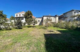 Casă boierească, 409 mp desfășurați, 1600 mp teren, Central