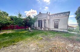 Casă boierească, 409 mp desfășurați, 1600 mp teren, Central