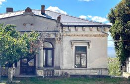 Casă boierească, 409 mp desfășurați, 1600 mp teren, Central