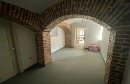 Casă boierească, 409 mp desfășurați, 1600 mp teren, Central