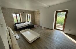 Casă boierească, 409 mp desfășurați, 1600 mp teren, Central