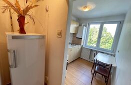 Apartament 2 camere, 42mp, centrala termica, zona Maestro