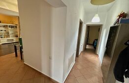  Casă 80 mp utili, 300 mp teren, zona Damilla