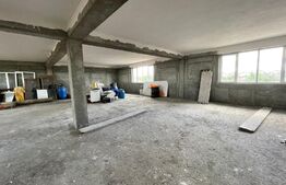 Casa de 543 mp utili, cu spatiu comercial la parter, Simnicu de Sus