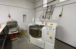 Casa de 543 mp utili, cu spatiu comercial la parter, Simnicu de Sus