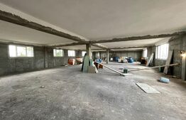 Casa de 543 mp utili, cu spatiu comercial la parter, Simnicu de Sus