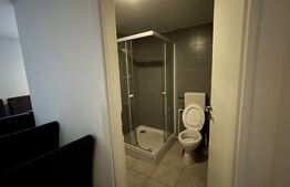 Casa de 543 mp utili, cu spatiu comercial la parter, Simnicu de Sus