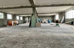 Casa de 543 mp utili, cu spatiu comercial la parter, Simnicu de Sus