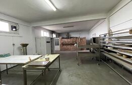 Casa de 543 mp utili, cu spatiu comercial la parter, Simnicu de Sus