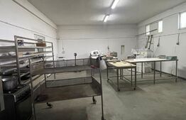 Casa de 543 mp utili, cu spatiu comercial la parter, Simnicu de Sus