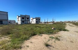 Parcela Teren Intravilan 463 mp, Carcea