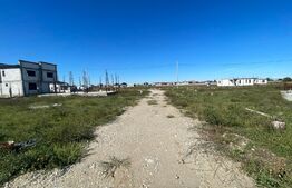 Parcela Teren Intravilan 463 mp, Carcea