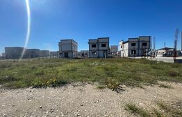 Parcela Teren Intravilan 463 mp, Carcea