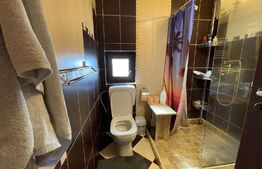 Casa individuala, 140 mp, cu teren de 341 mp, Braniste