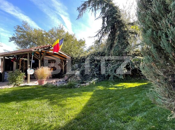 Casa de vânzare 3 camere Branişte (Podari) - 98749CV | BLITZ Craiova | Poza5