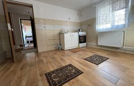 Casa de 40 mp, cu teren de 171 mp, zona Brestei