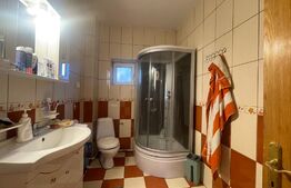 Casa de 310 mp, 550 mp teren, Drumul Muntenilor