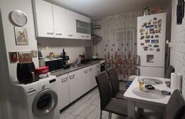 Apartament modern de 2 camere, 47 mp, Brazda lui Novac, zona Rendez-Vous