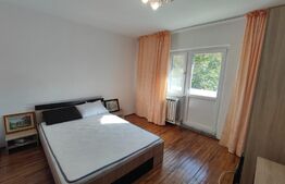 Apartament de 3 camere, 64 mp, decomandat, zona Mall Electroputere