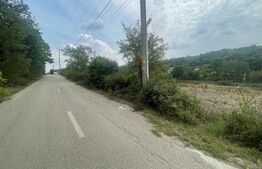 Oferta!Teren extravilan 1250 mp, Satul de Vacanta Podari