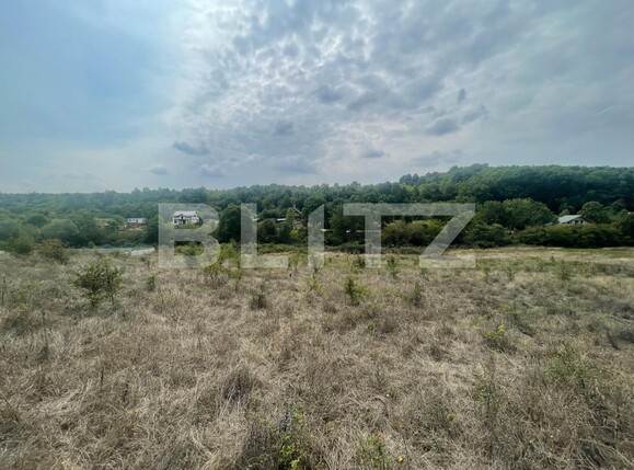 Teren de vânzare Podari - 99079TV | BLITZ Craiova | Poza1