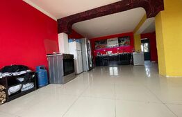 Casa de 100 mp utili, pod mansardabil, teren de 616 mp, Cernele!