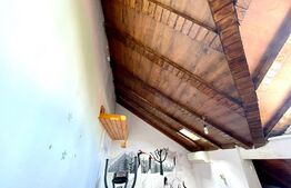 Casă cu etaj și mansardă 180 mp, Ciupercă!