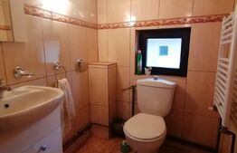 Spatiu comercial de 95 mp, centrala termica, zona Ultracentra