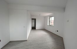 Casă de 100 mp utili, 250 mp teren, zona Bariera Vâlcii