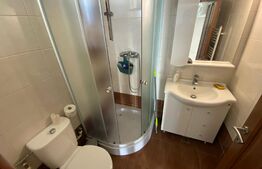 Casa 4 camere, terasa de 100mp, zona Ford