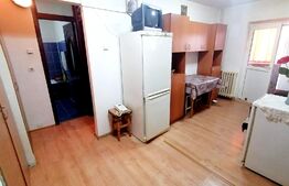Apartament de 2 camere, pet-friendly, 52 mp, cartier Brazda lui Novac