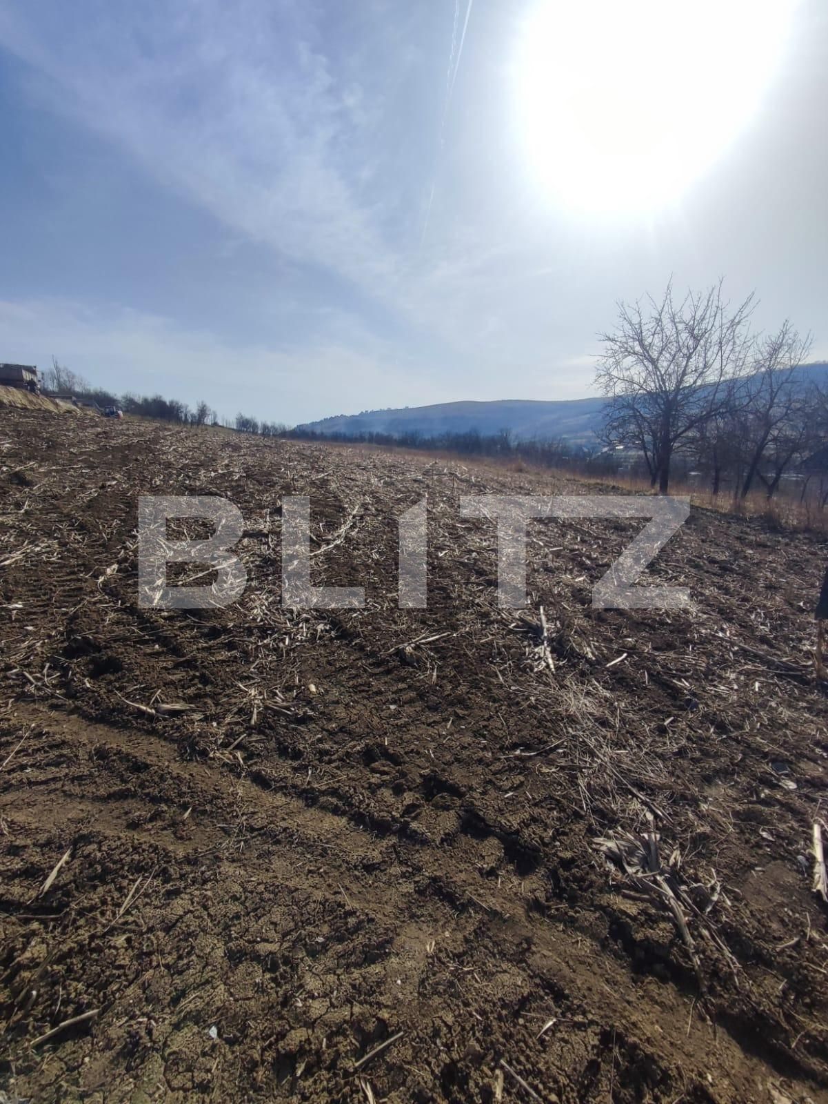 Teren de vânzare Ocna Dejului - 136455TV | BLITZ Dej | Poza2