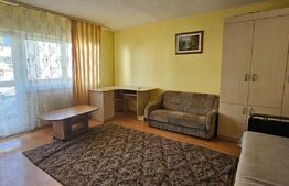 Apartament de 1 camera 