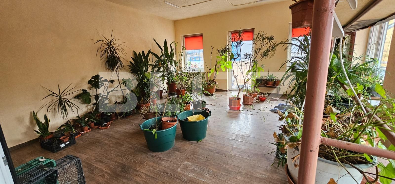 Apartament de închiriat 2 camere Dealul Florilor - 137359AI | BLITZ Dej | Poza2