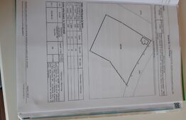 Casa batraneasca 69 mp cu teren 3893mp