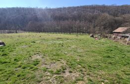 Casa batraneasca 69 mp cu teren 3893mp