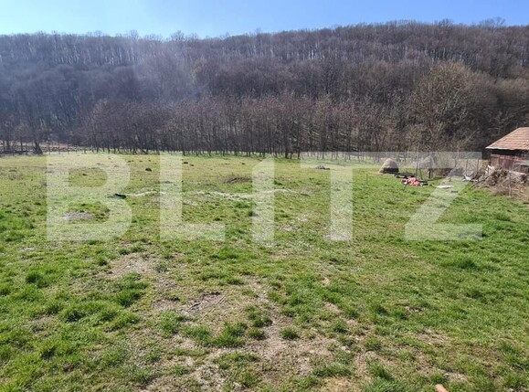 Casa de vânzare 2 camere Est - 137947CV | BLITZ Dej | Poza10