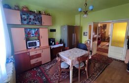 Casa 3 niveluri, zona linistita 