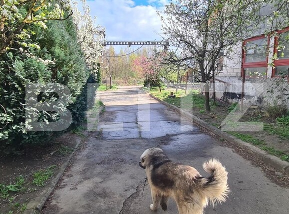 Teren de vânzare Zona Industriala - 138487TV | BLITZ Dej | Poza17